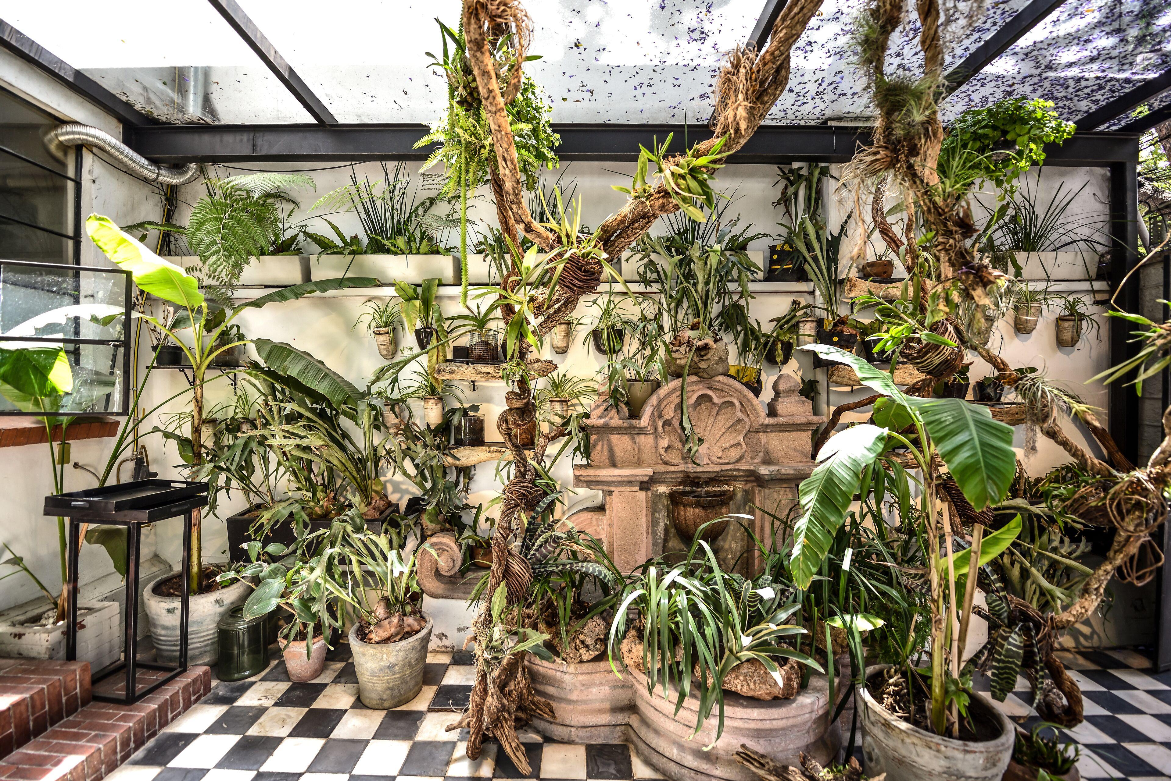 Orchid House Mexico City — Fotos 2